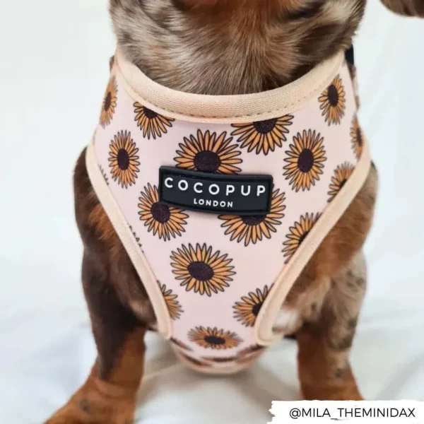 Sunflowers Adjustable Neck Harnesses - Image 4