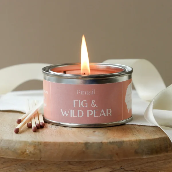 Pintail Candles - Fig & Wild Pear Paint Pot