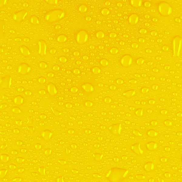 Adult Snow Suit, Sundance Yellow - Image 7