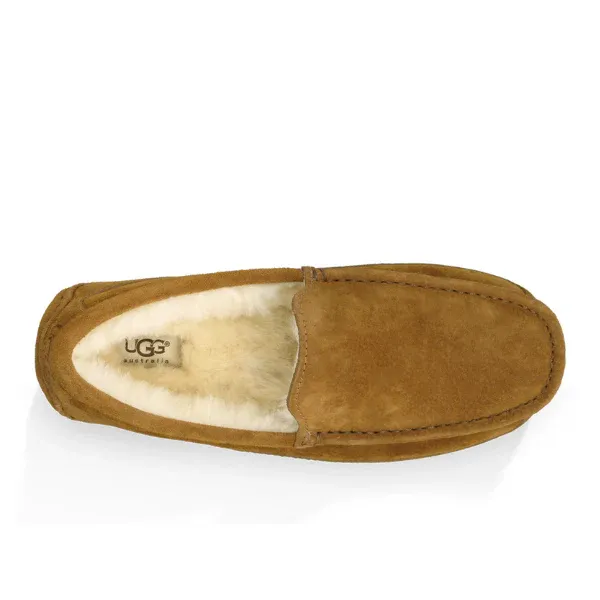 UGG Men's Ascot Slipper Chestnut - Image 4