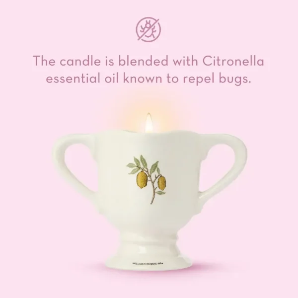 William Morris at Home - The Modern Homemaker Indoor & Outdoor Scented Candle - Image 6
