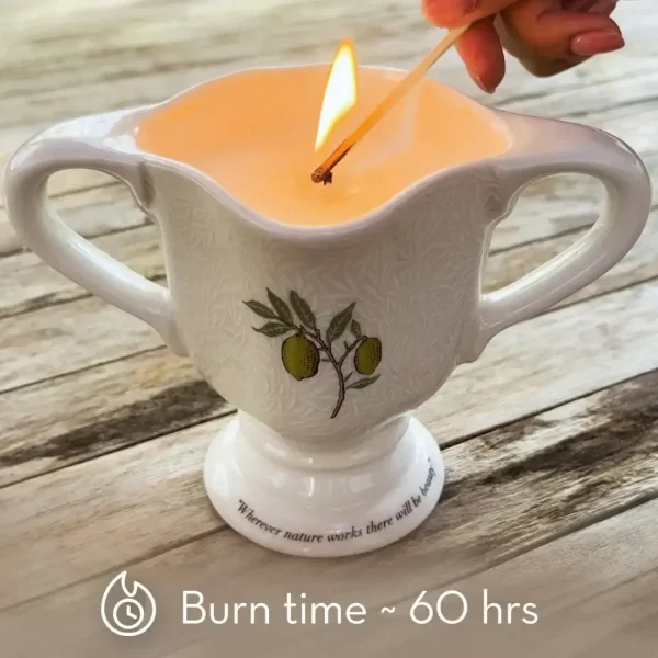 William Morris at Home - The Modern Homemaker Indoor & Outdoor Scented Candle
