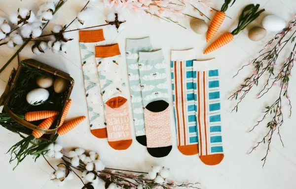 April 2019 Sock Box