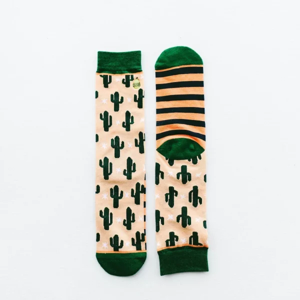 Cacti - Image 5