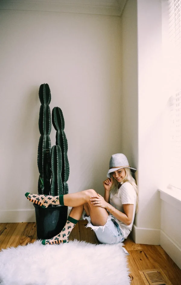 Cacti - Image 3