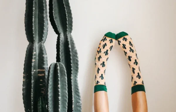 Cacti - Image 2