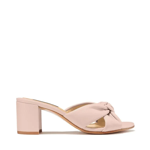 The Carmine Mule