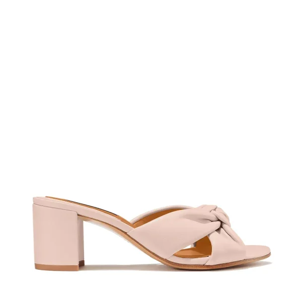 The Carmine Mule - Image 3
