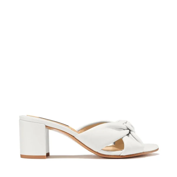 The Carmine Mule - Image 4