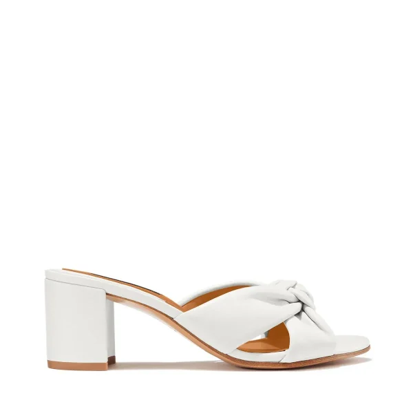The Carmine Mule - Image 6