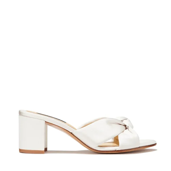 The Carmine Mule - Image 13
