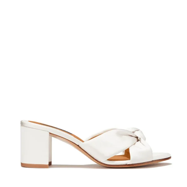 The Carmine Mule - Image 15