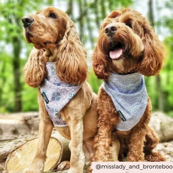 Pet Bandanas - Image 6