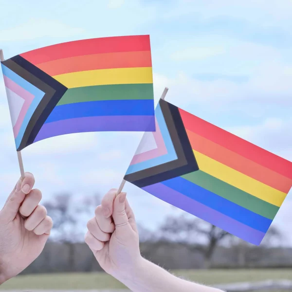 Handheld Pride Flag (pack of 5)