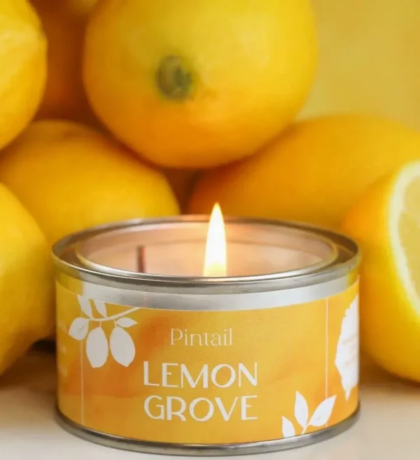 Pintail Candles - Lemon Grove Paint Pot