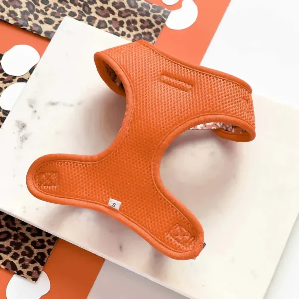 Stay Wild Adjustable Neck Harnesses - Image 3